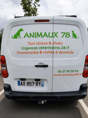taxi animaux 78